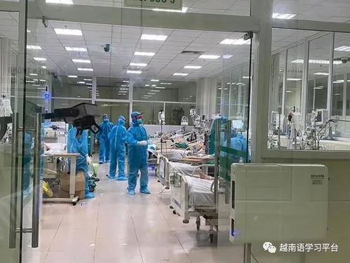 越南疫情最新 新增276例累計(jì)確診4112例，北寧省出現(xiàn)首例死亡病例